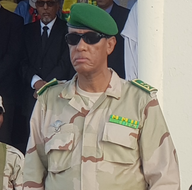 اللواء حمادي ولد اعل مولود 