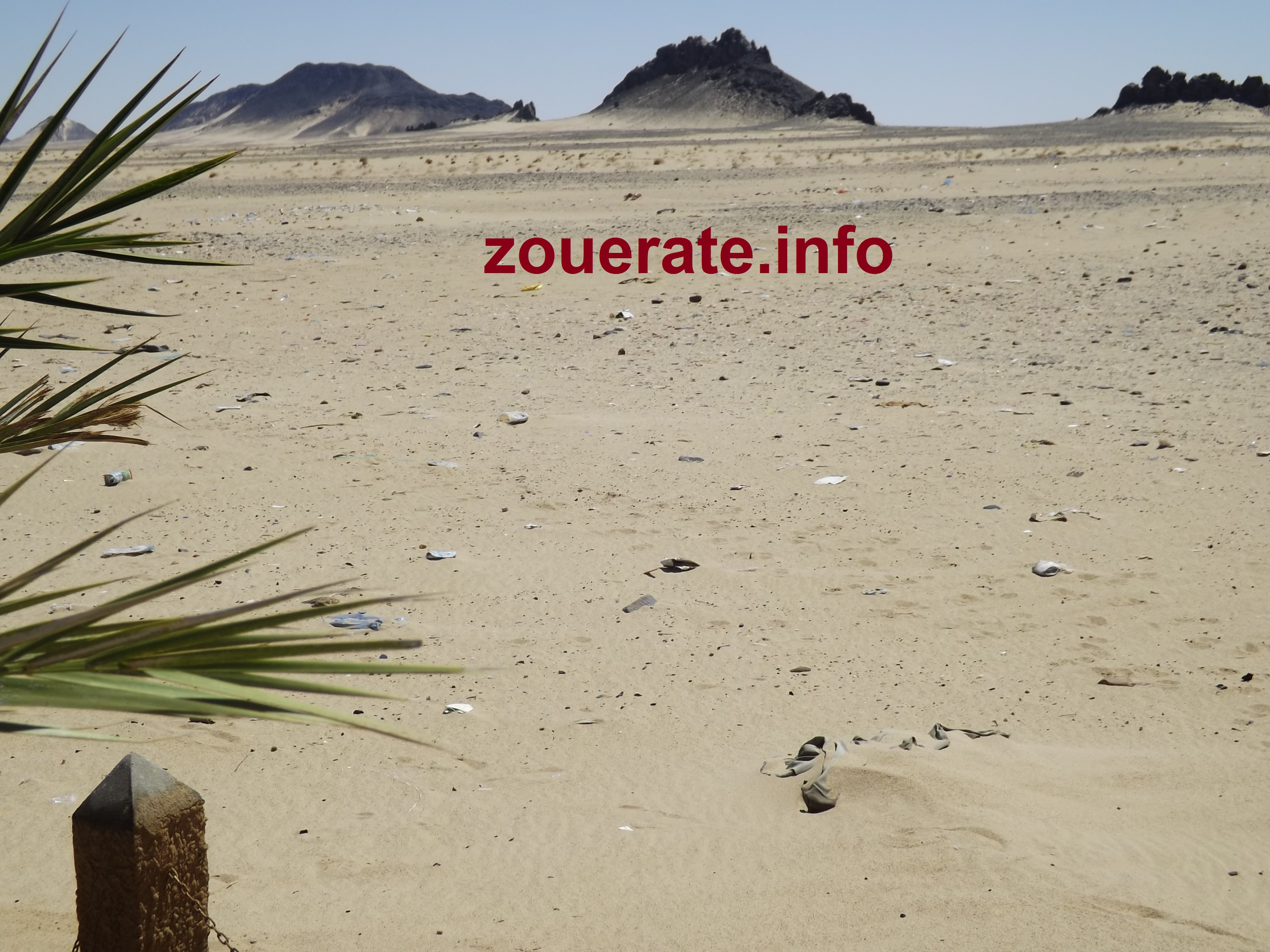 صورة من منطقة "الريش" التي علقت فيها السيارة
