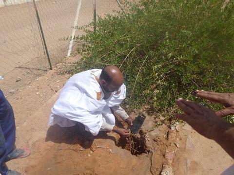 محمد ولد سوله الأمين العام لفرع نقابة الصحفيين في تيرس زمور يغرس شجرة في إحدى الساحات العامة بازويرات اليوم الأحد