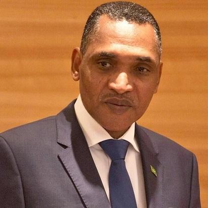 محمد سالم ولد البشير-الوزير الاول الموريتاني الجديد
