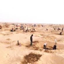 صورة تخدم النص