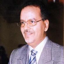 محمد ولد الناني-وزير سابق